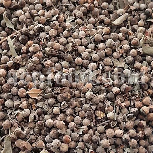 Bulk Chaste Berries for sale. Vitex agnus-castus dried fruits Wholesaler, Supplier, Exporter and Provider. Buy Monk's Pepper with the Best Quality and Price.