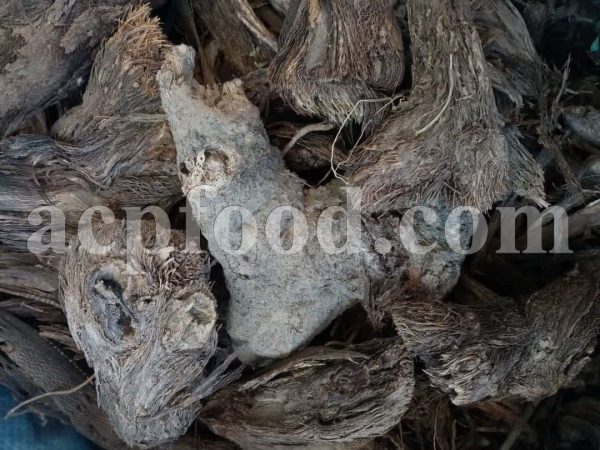 Bulk Arctium lappa root for Sale. Burdock root Wholesaler, Supplier, Exporter and Provider. Buy Arctium lappa root with the best price.
