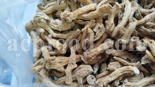 Bulk Polygonatum root for Sale. Solomon's Seal root Wholesaler, Supplier, Exporter and Provider. Buy Polygonatum root with the best price.