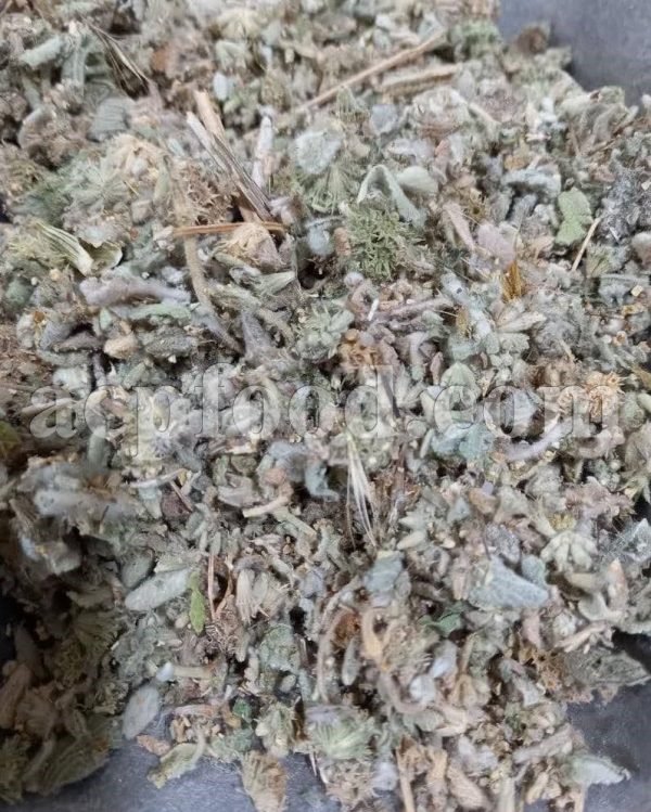 Bulk dried horehound for Sale. Marrubium vulgare Wholesaler, Supplier, Exporter and Provider. Buy horehound with the best price.
