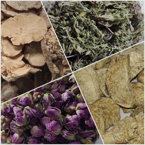 bulk medicinal herbs supplier buy fungus in bulk purchase medicinal and aromatic roots and rhizomes. medicinal flowers wholesaler.