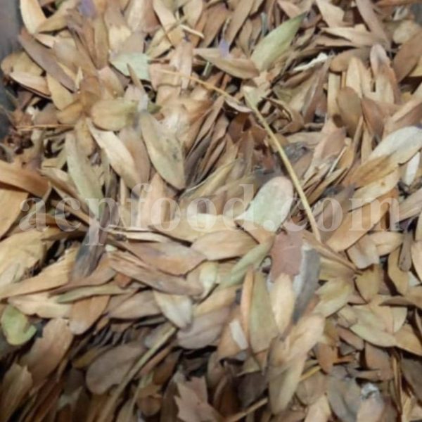 Bulk Ash Leaf for Sale. Fraxinus excelsior Leaf Wholesaler, Supplier, Exporter and Provider. Buy Best Quality European Ash Leaf with the Best Price.