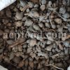 Bulk Cyperus rotundus tubers for Sale. Nutgrass rhizomes Wholesaler, Supplier, Exporter and Provider. Buy aromatic Nut Grass rhizome with the Best Price.