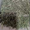Bulk Hyssop for Sale. Hyssopus officinalis Wholesaler, Supplier, Exporter and Provider. Buy Best Quality Hyssops with the Best Price.