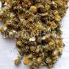 Bulk Dandelion flower for Sale. Taraxacum officinale flower Wholesaler, Supplier, Exporter and Provider. Buy High Quality Blowball flower with the Best Price.