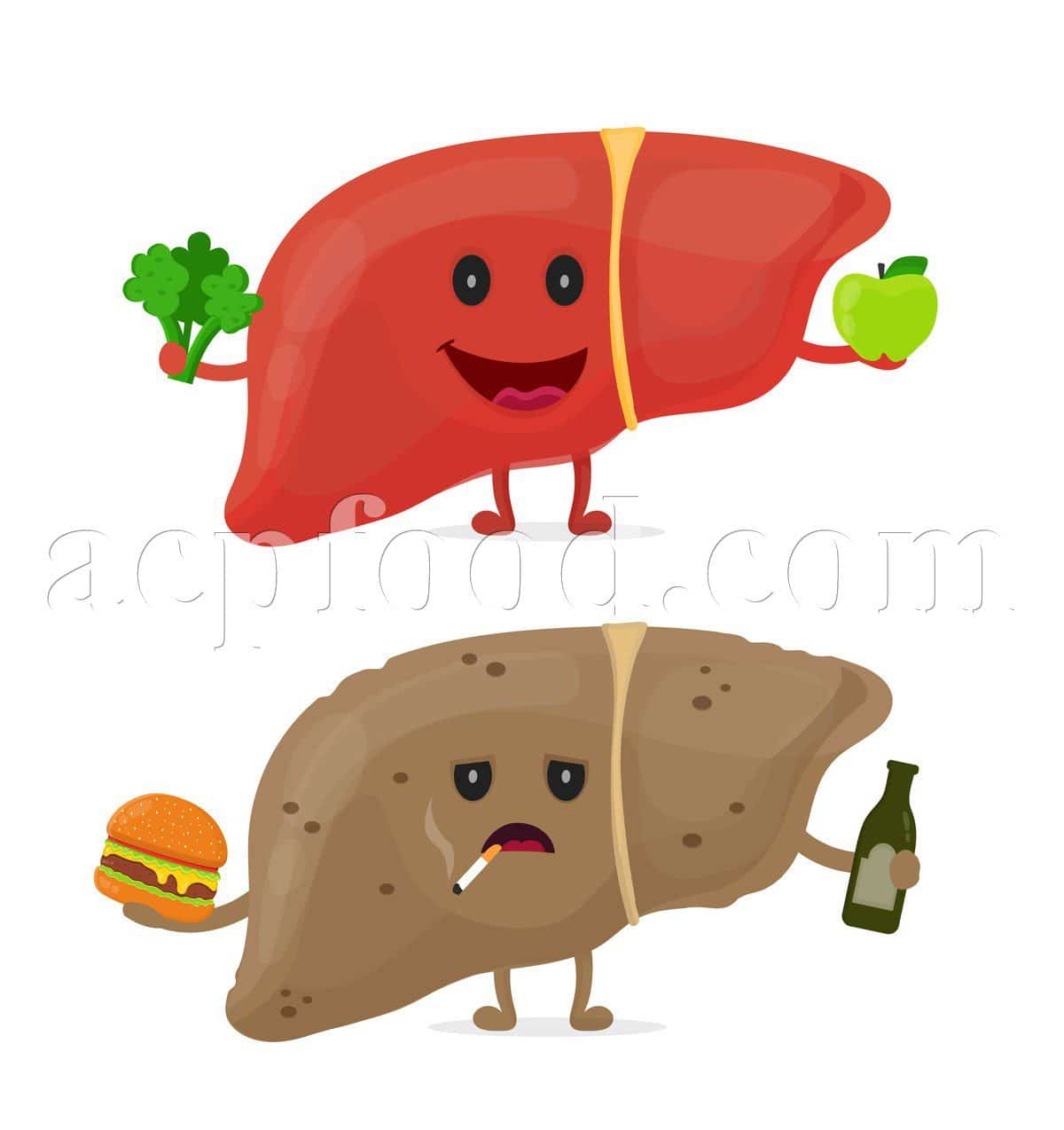 Liver Disorders in Traditional Iranian Medicine.
