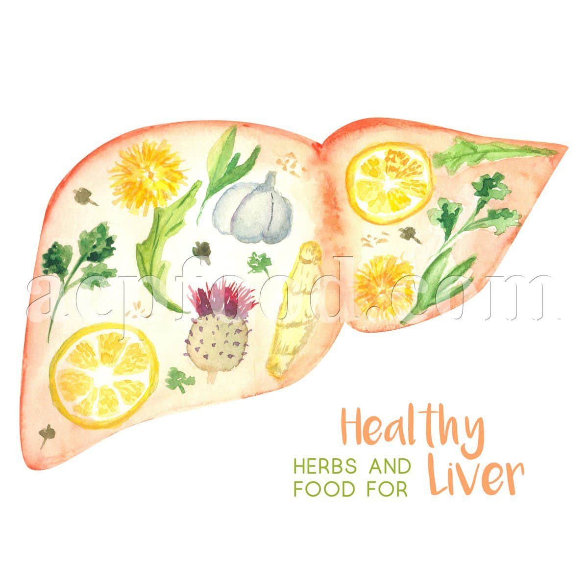 Liver Disorders in Traditional Iranian Medicine.