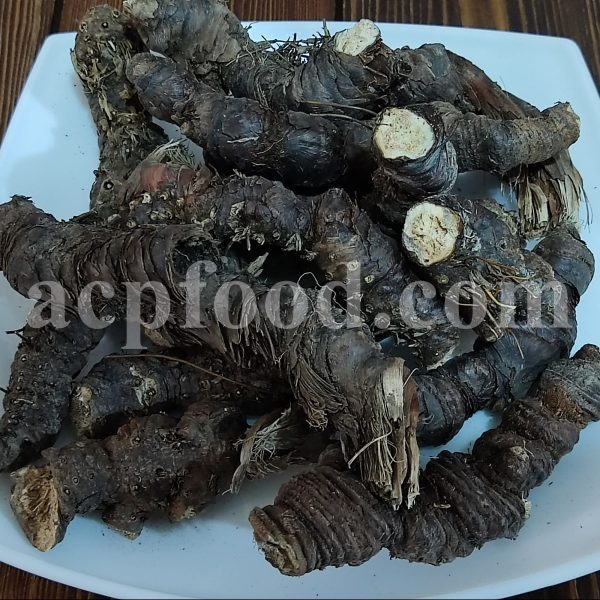 High Quality Bulk Iris Root for sale. Iris persica flower and root Wholesaler, Supplier, Exporter and Provider.