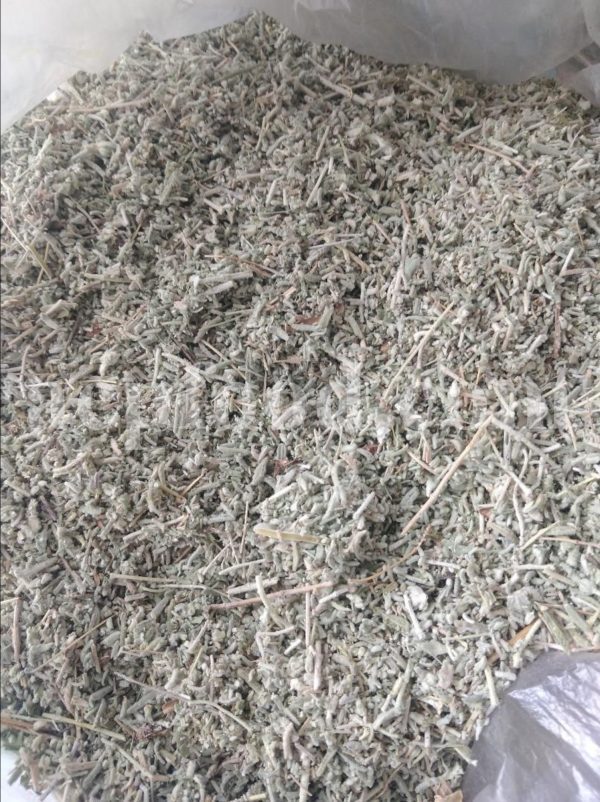 Excellent Dried Felty Germander for Sale. Bulk Dried Teucrium polium Flower Wholesaler, Supplier, Exporter and Provider. Buy the Best Quality Dried Poley Germander with the Best Price.