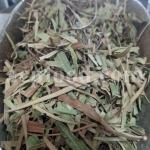 High Quality Dried Willow Leaves and Bark for Sale. Bulk Dried Salix fragilis Leaves and Bark Wholesaler, Supplier, Exporter and Provider. Buy Best Quality Dried Brittle Willow with the Best Price.