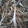 High Quality Dried Willow Leaves and Bark for Sale. Bulk Dried Salix fragilis Leaves and Bark Wholesaler, Supplier, Exporter and Provider. Buy Best Quality Dried Brittle Willow with the Best Price.