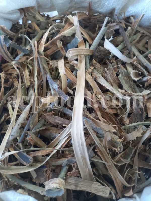 High Quality Dried Willow Leaves and Bark for Sale. Bulk Dried Salix fragilis Leaves and Bark Wholesaler, Supplier, Exporter and Provider. Buy Best Quality Dried Brittle Willow with the Best Price.