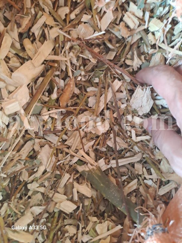 High Quality Dried Willow Leaves and Bark for Sale. Bulk Dried Salix fragilis Leaves and Bark Wholesaler, Supplier, Exporter and Provider. Buy Best Quality Dried Brittle Willow with the Best Price.