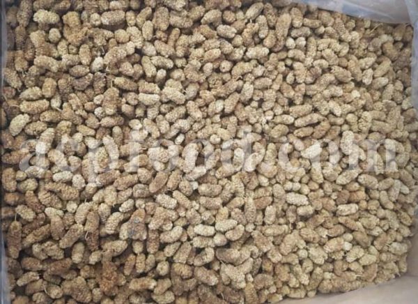 Excellent Dried White Mulberry for Sale. Bulk Dried White Mulberry Wholesaler, Supplier, Exporter and Provider. Buy the Best Quality White Mulberry fruit with the Best Price.