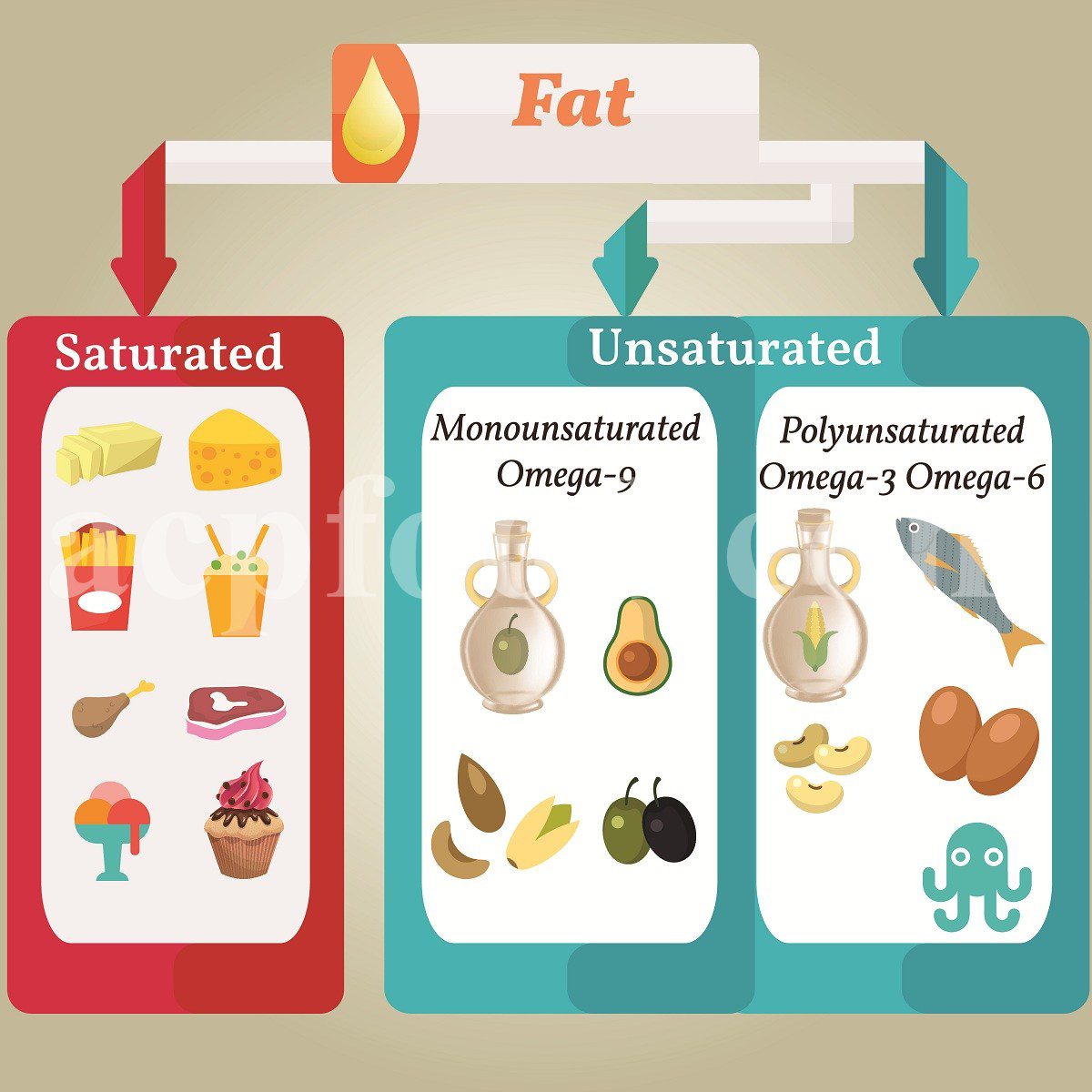 Saturated fat vs unsaturated fat