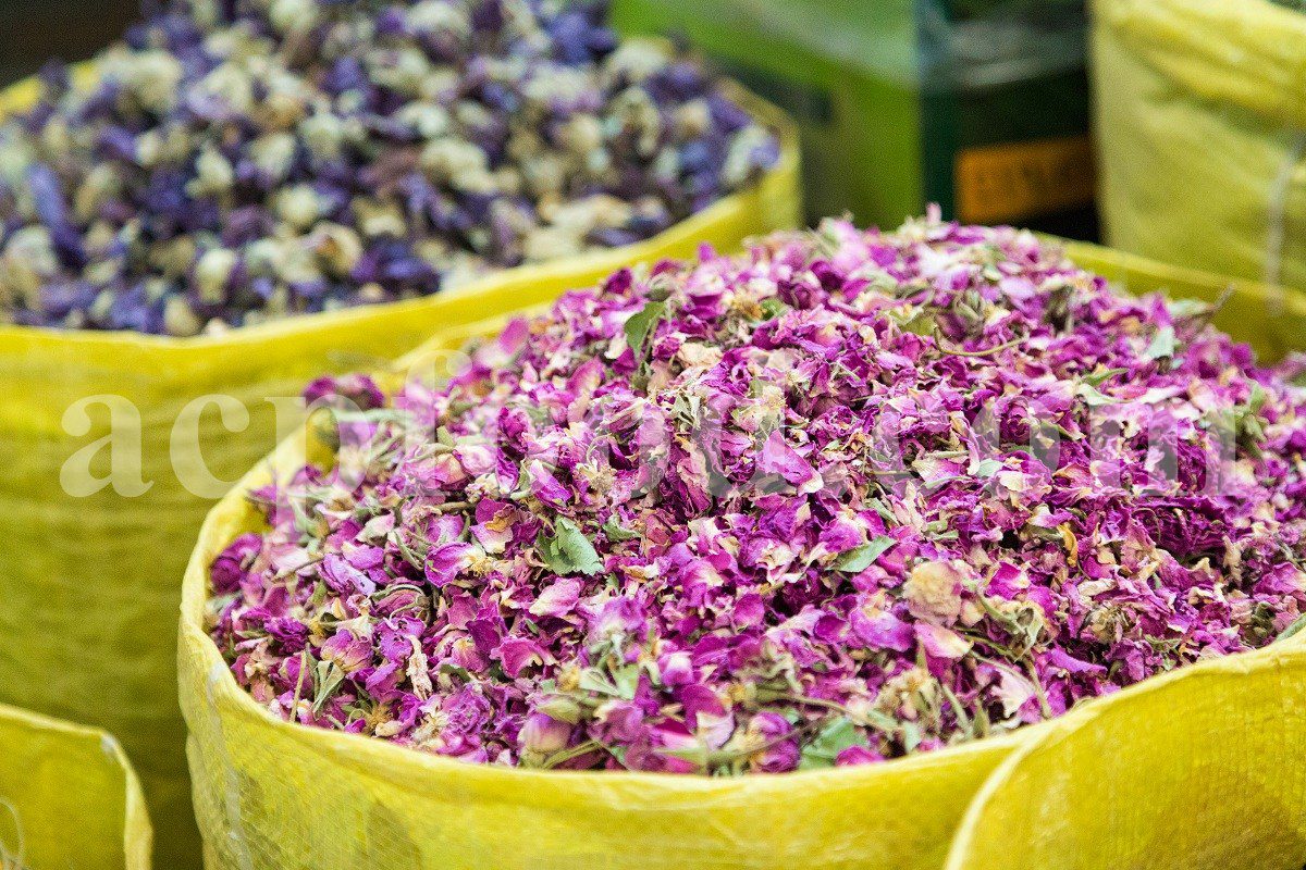 We provide aromatic and medicinal herbs for manufacturers, wholesalers, retailers and importers in the USA and Canada.