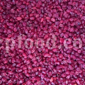 Dried barberry for sale. Buy dried barberry fruit. Zereshk berries wholesale price. Buy barberries. Dried barberries near me. Barberry dried spice for sale. Bulk zereshk fruit. Barberry for sale. Buy barberry. Barberry buy online. Barberry for sale near me. Barberry sale. Barberry to buy. Berberis for sale. Buy zereshk. Barberry dried fruit for sale.