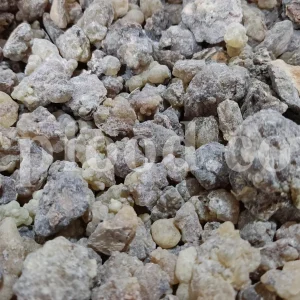 Frankincense wholesale price. Frankincense resin buy. Frankincense resin in bulk. Buy frankincense. Indian frankincense purchase. Boswellia Frankincense wholesale price. Frankincense near me. Boswellia Indian Frankincense. Buy Boswellia serrata olibanum.