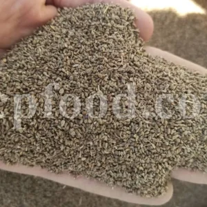 Ajwain seed for sale. Carom seeds wholesale price. Buy Ajowan. Buy Omam seeds. Trachyspermum in bulk. Bulk Ajwain Carom.