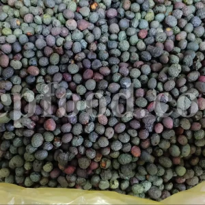 High Quality Pistacia atlantica for sale. Pistacia terebinthus seeds. Pistacia atlantica seeds. Buy Atlantic Pistachio. Pistacia khinjuk wholesale price. Buy Terebinth seeds. Bulk wild pistachios.