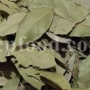 Buy Bay leaves. Bay Leaves for sale. Bay Leaves wholesale price. Bay Laurel for sale. Organic Bay Leaves bulk. Buy Bay Laurel.