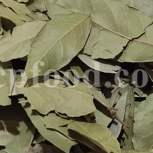 Buy Bay leaves. Bay Leaves for sale. Bay Leaves wholesale price. Bay Laurel for sale. Organic Bay Leaves bulk. Buy Bay Laurel.