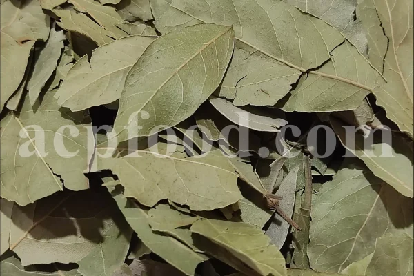 Buy Bay leaves. Bay Leaves for sale. Bay Leaves wholesale price. Bay Laurel for sale. Organic Bay Leaves bulk. Buy Bay Laurel.