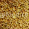 Best Raisins to buy. Bulk Raisins Wholesale. Bulk Raisins for sale. Kishmish price. Buy Raisins in bulk. Raisins price per kg. Iranian Raisin wholesale.