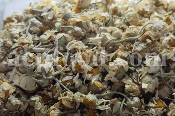 Dried chamomile for sale. Chamomile for sale. Buy chamomile. Bulk chamomile. Bulk chamomile tea. Dried chamomile flowers wholesale price. Buy chamomile tea. Dried chamomile flowers bulk.