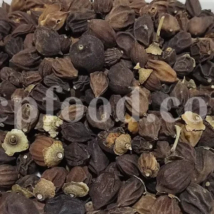 Assyrian Plum for sale. Buy Sebastian Plum. Bulk Cordia myxa. Cordia myxa for sale. Cordia fruit wholesale price. Sapistan fruit in bulk. Dried Sapistan for sale.