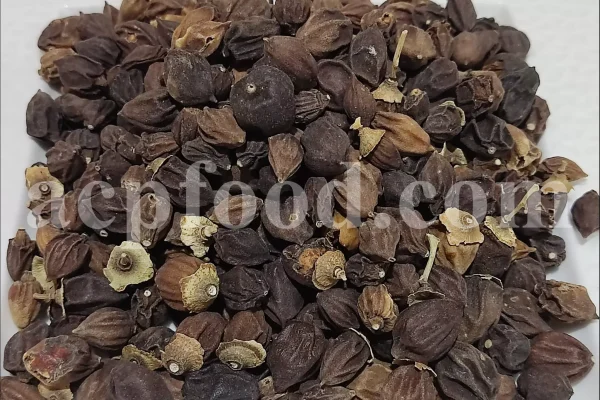 Assyrian Plum for sale. Buy Sebastian Plum. Bulk Cordia myxa. Cordia myxa for sale. Cordia fruit wholesale price. Sapistan fruit in bulk. Dried Sapistan for sale.