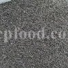 Basil seeds for sale. Holy Basil seeds for sale. Bulk Lime Basil seeds. Falooda seeds wholesale price. Buy Thai Basil seeds. Ocimum basilicum seeds wholesale price.