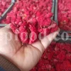 Dried Pomegranate flowers for sale. Buy Pomegranate seeds. Dried Pomegranate skin wholesale price. Gule Anar purchase.