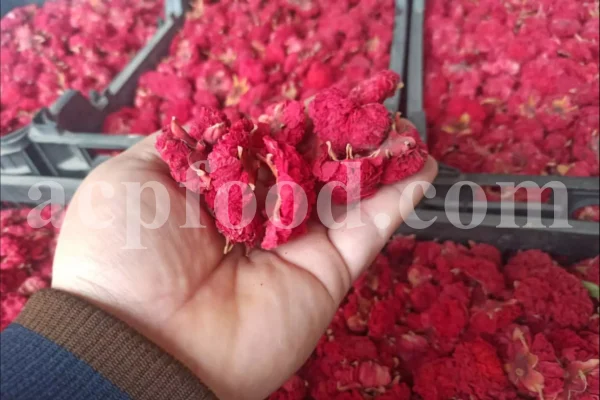 Dried Pomegranate flowers for sale. Buy Pomegranate seeds. Dried Pomegranate skin wholesale price. Gule Anar purchase.