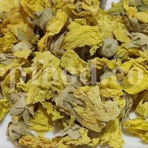 High quality dried Marshmallow flowers for sale. Buy Althaea officinalis dried flowers. Hollyhocks for sale. Buy Common Hollyhock dried flowers. Marshmallow seeds for sale. Buy Hollyhocks seeds.