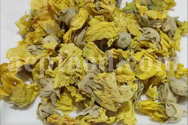 High quality dried Marshmallow flowers for sale. Buy Althaea officinalis dried flowers. Hollyhocks for sale. Buy Common Hollyhock dried flowers. Marshmallow seeds for sale. Buy Hollyhocks seeds.