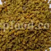 Buy Fenugreek seed. Fenugreek seed for sale. Methi seeds wholesale price. Where can you buy Fenugreek. Organic Methi seeds purchase. Where do I buy Fenugreek seeds. Trigonella foenum graecum seed.