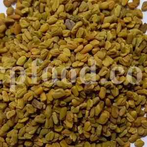Buy Fenugreek seed. Fenugreek seed for sale. Methi seeds wholesale price. Where can you buy Fenugreek. Organic Methi seeds purchase. Where do I buy Fenugreek seeds. Trigonella foenum graecum seed.