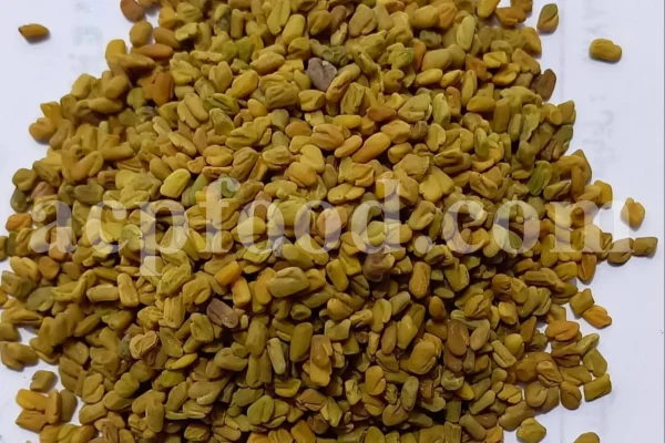 Buy Fenugreek seed. Fenugreek seed for sale. Methi seeds wholesale price. Where can you buy Fenugreek. Organic Methi seeds purchase. Where do I buy Fenugreek seeds. Trigonella foenum graecum seed.