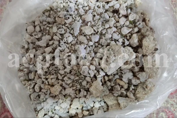 Bulk Purgative Manna for sale. Buy Purgative Manna. Purgative Manna wholesale price. Buy Shir Khesht. Bulk Shir Khesht.