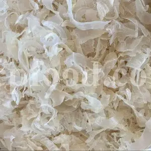 Buy Gum Tragacanth. Tragacanth Gum price. Buy Gond Katira. Katira price. Katila Gum wholesale price. Astragalus gummifer gum for sale. Astragalus gum purchase.