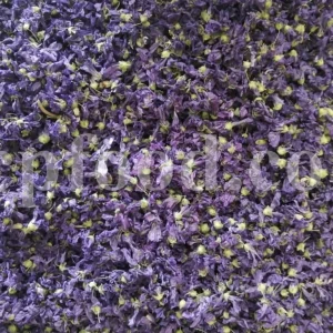 Bulk Marshmallow Flowers for Sale. Althaea officinalis Flowers Wholesaler, Supplier, Exporter and Provider. Buy High Quality Hollyhock Flowers with the Best Price. Purchase Althaea Rosea Flowers.