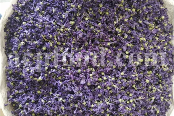 Bulk Marshmallow Flowers for Sale. Althaea officinalis Flowers Wholesaler, Supplier, Exporter and Provider. Buy High Quality Hollyhock Flowers with the Best Price. Purchase Althaea Rosea Flowers.