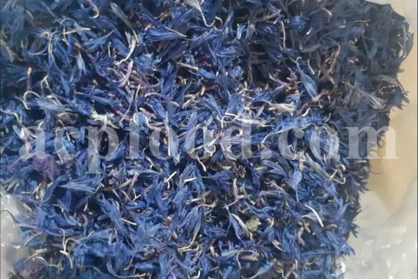 Centaurea cyanus flowers for sale. Buy Cornflower. Cornflower petals wholesale. Dried cornflower in bulk. Bachelor's button dried flowers. Buy blue cornflower. Corn flowers price. Dried cornflowers for sale. Cornflower blue flowers in bulk. Blue cornflower flower. Cornflower price.