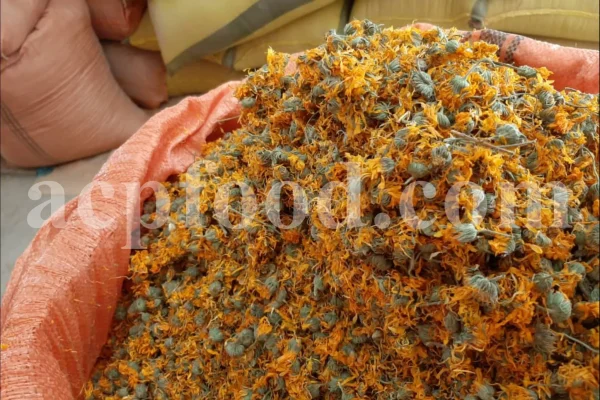 Buy Calendula. Calendula for sale. Bulk dried Calendula petals. Dried Marigold wholesale price. Calendula flowers dried bulk. Calendula officinalis price. Calendula officinalis orange king for sale.