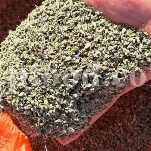 Buy dried Marjoram. Marjoram for sale. Bulk Marjoram. Marjoram seeds for sale. Dried leaves of wild Marjoram in bulk. Bulk Origanum majorana. Buy Marjoram Origanum majorana.