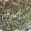 Dried Myrtle leaves for sale. Myrtle leaves purchase. Leaf Myrtle buy. Bulk Mirto leaves. Myrtle leaf tea wholesale price.