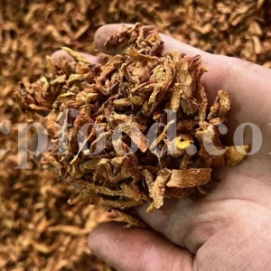 Bulk dried Quince. Dehydrated Quince for sale. Buy dried Quince slices. Cydonia oblonga for sale.