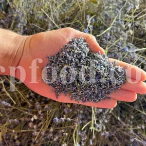 Dried Lavender for sale. Buy dried Lavender. Bulk Lavender. Lavender purchase. Buy Lavender seeds. Lavandula angustifolia for sale. Bulk culinary Lavender. Buy dried Lavender flowers. Buy Lavender to smoke. Lavandula for sale. Lavender to buy dried. English Lavender for sale.