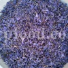 Bulk Echium amoenum for Sale. Buy Persian Borage. Buy Iranian Bugloss with the Best Price. Gol Gav Zaban wholesale price. Bulk Echium amoenum Red Feathers. Borage leaves for sale.